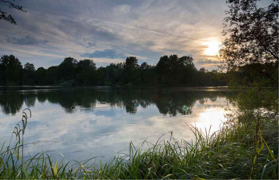 Sevenoaks Wildlife Reserve