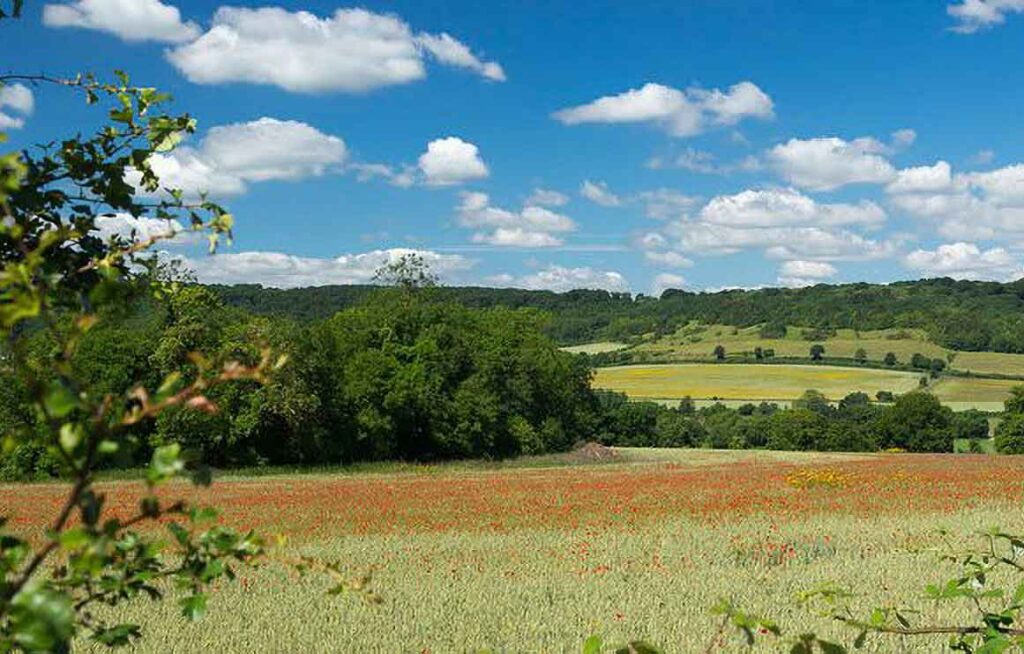 View of Otford